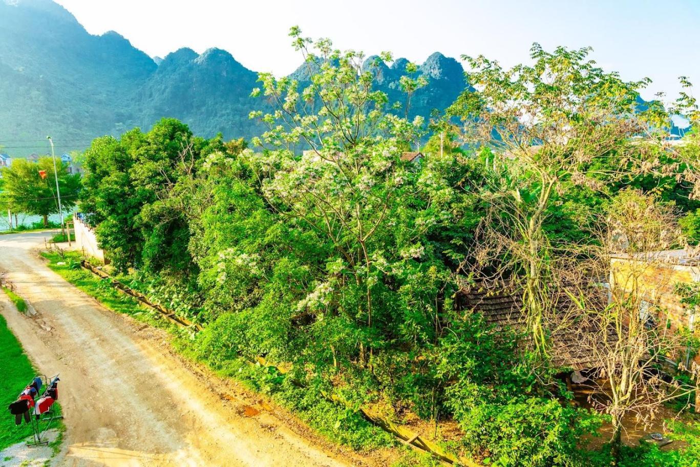 Phong Nha Cherish House Bagian luar foto